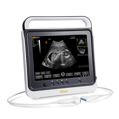 PT50a pad ultrasound