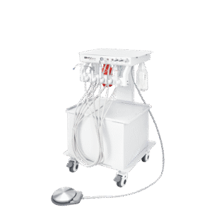 BDS-6 Vet Veterinary Dentistry Solutions