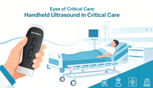 Handheld Ultrasound in Critical Care